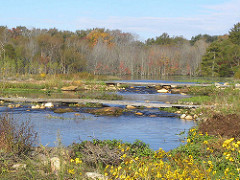 Wetlands photo provided by the state of Maryland.