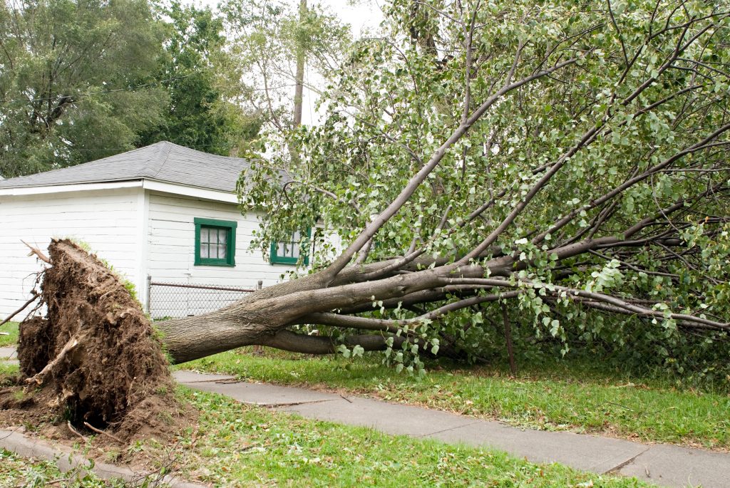 Disposing of Debris After this Weekend’s Wind Storm