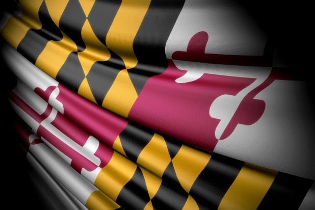 This is an illustration of the flag of Maryland (USA)