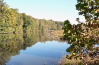 Patuxent River (Stock Photo)