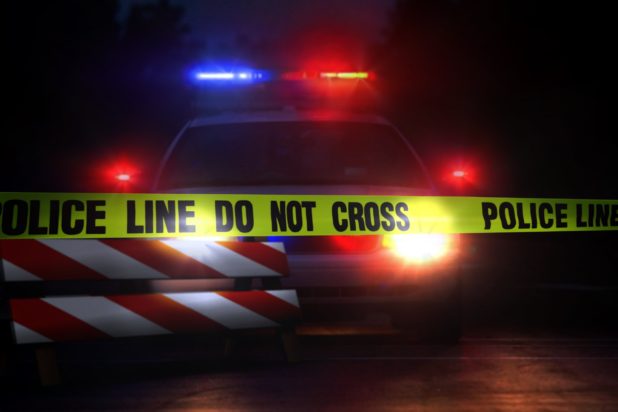 30-foot tumbleweed pileup traps cars, semi-truck on Washington highway