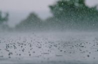 Emergency Protocols Activated in Midst of Fast-Moving Summer Storm